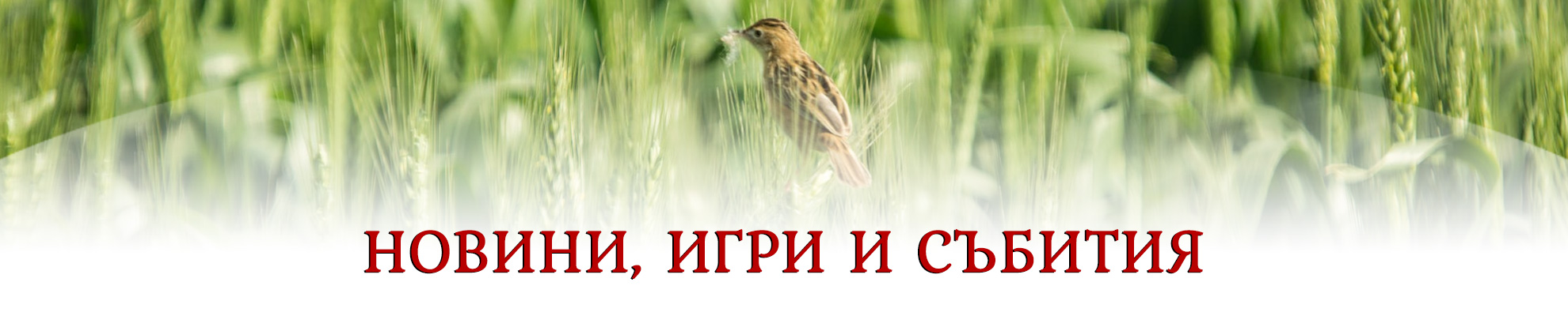 Новини - Състезанието „Левски скок“-„Съхраняване на родовата памет - път към родината“ тръгва по света в българските училища